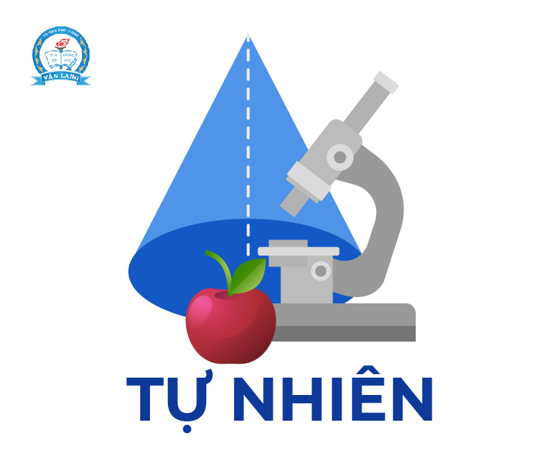 web noi bo 2_to tu nhien